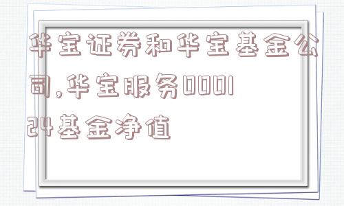 华宝证券和华宝基金公司,华宝服务000124基金净值  第1张