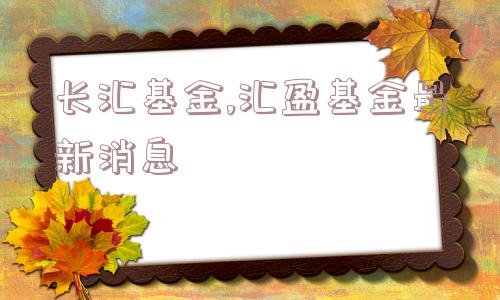 长汇基金,汇盈基金最新消息  第1张