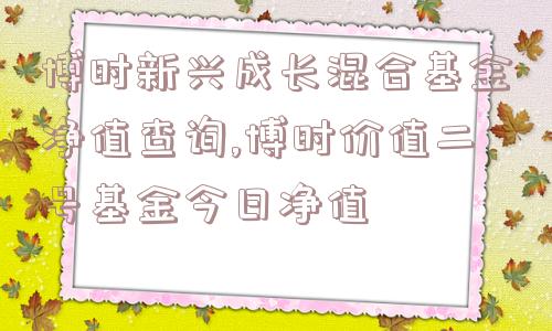 博时新兴成长混合基金净值查询,博时价值二号基金今日净值  第1张