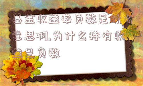 基金收益率负数是什么意思啊,为什么持有收益是负数  第1张