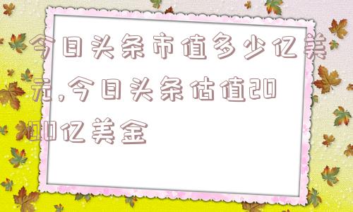 今日头条市值多少亿美元,今日头条估值2000亿美金  第1张