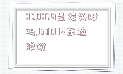 300379是龙头股吗,600114东睦股份  第1张