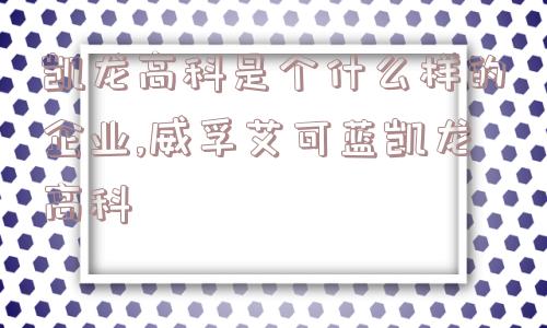 凯龙高科是个什么样的企业,威孚艾可蓝凯龙高科  第1张