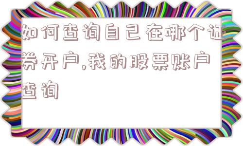 如何查询自己在哪个证券开户,我的股票账户查询  第1张