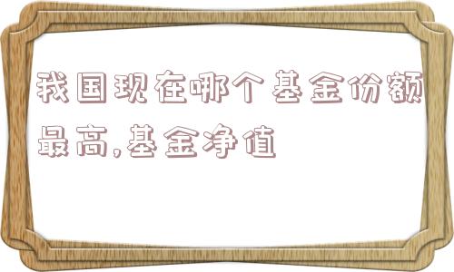 我国现在哪个基金份额最高,基金净值  第1张