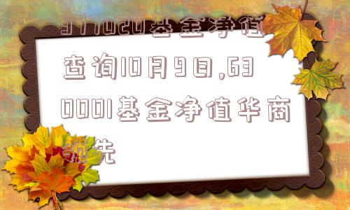 377020基金净值查询10月9日,630001基金净值华商领先  第1张