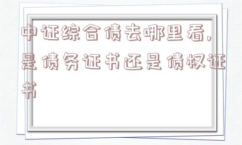 中证综合债去哪里看,是债务证书还是债权证书  第1张