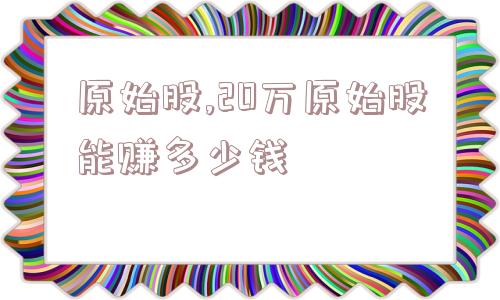 原始股,20万原始股能赚多少钱  第1张