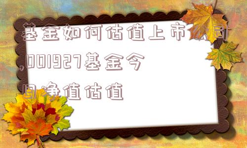 基金如何估值上市公司,001927基金今日净值估值  第1张