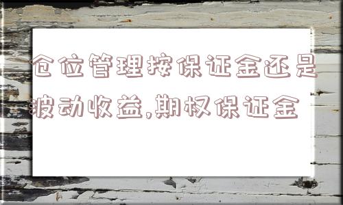 仓位管理按保证金还是波动收益,期权保证金  第1张