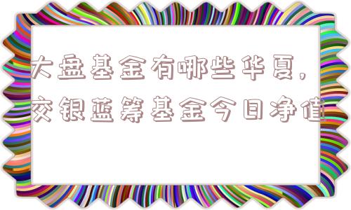 大盘基金有哪些华夏,交银蓝筹基金今日净值  第1张