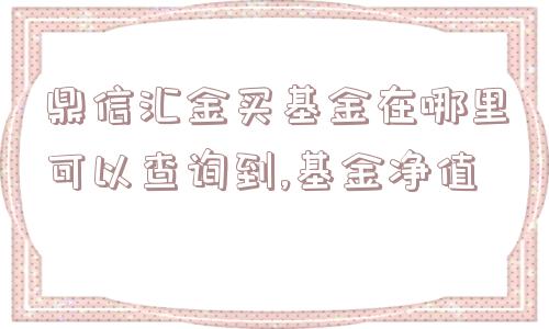 鼎信汇金买基金在哪里可以查询到,基金净值  第1张