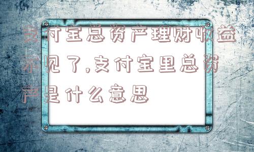 支付宝总资产理财收益不见了,支付宝里总资产是什么意思  第1张