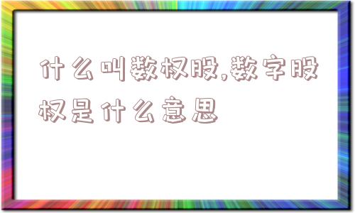 什么叫数权股,数字股权是什么意思  第1张