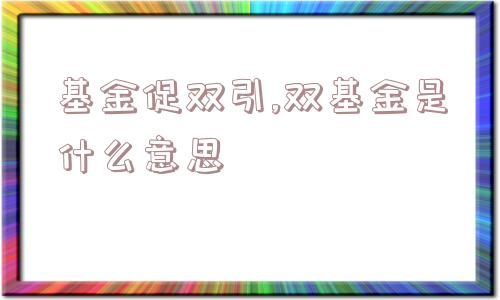 基金促双引,双基金是什么意思  第1张