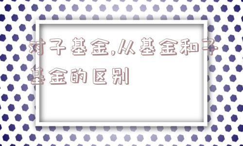 对子基金,从基金和子基金的区别  第1张