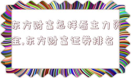 东方财富怎样看主力资金,东方财富证券排名  第1张