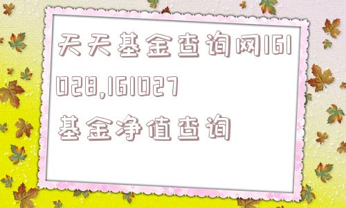 天天基金查询网161028,161027基金净值查询  第1张