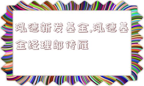 泓德新发基金,泓德基金经理邬传雁  第1张