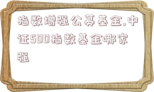 指数增强公募基金,中证500指数基金哪家强  第1张