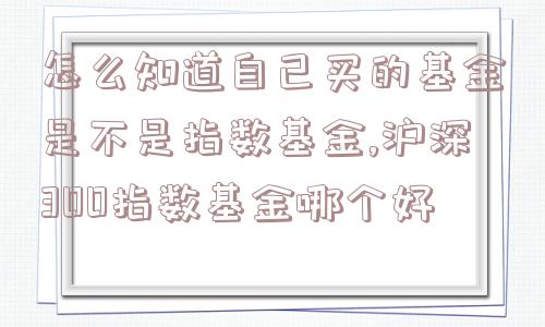 怎么知道自己买的基金是不是指数基金,沪深300指数基金哪个好  第1张