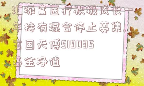 汇添富医疗积极成长一年持有混合停止募集,富国天博519035基金净值  第1张