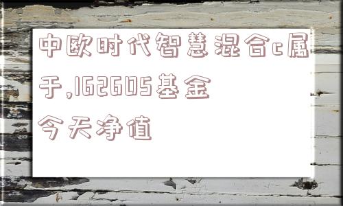 中欧时代智慧混合c属于,162605基金今天净值  第1张