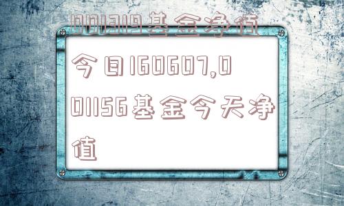 001319基金净值今日160607,001156基金今天净值  第1张