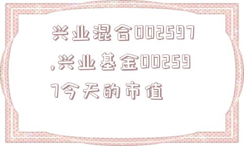 兴业混合002597,兴业基金002597今天的市值  第1张