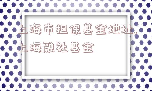 上海市担保基金地址,上海融社基金  第1张