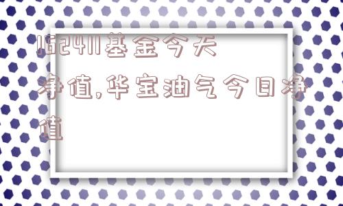 162411基金今天净值,华宝油气今日净值  第1张