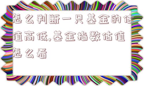 怎么判断一只基金的估值高低,基金指数估值怎么看  第1张