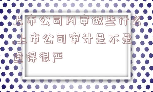 上市公司内审做些什么,上市公司审计是不是查得很严  第1张