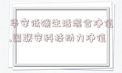 华安低碳生活混合净值,国联安科技动力净值  第1张