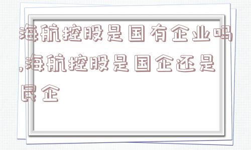 海航控股是国有企业吗,海航控股是国企还是民企  第1张