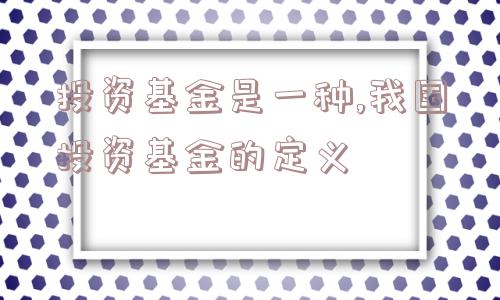 投资基金是一种,我国投资基金的定义  第1张