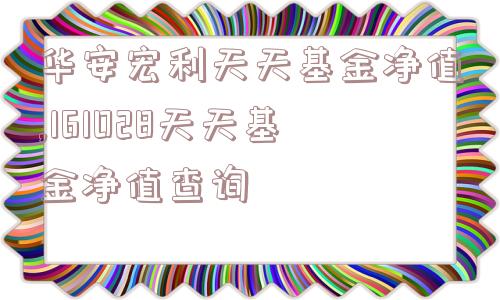 华安宏利天天基金净值,161028天天基金净值查询  第1张