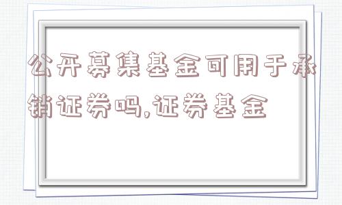 公开募集基金可用于承销证券吗,证券基金  第1张