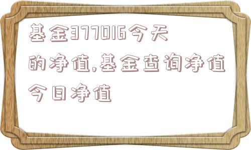 基金377016今天的净值,基金查询净值今日净值  第1张