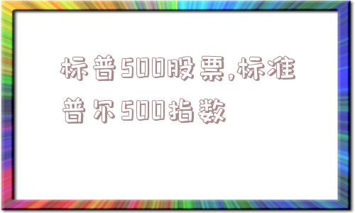 标普500股票,标准普尔500指数  第1张