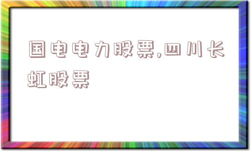 国电电力股票,四川长虹股票  第1张