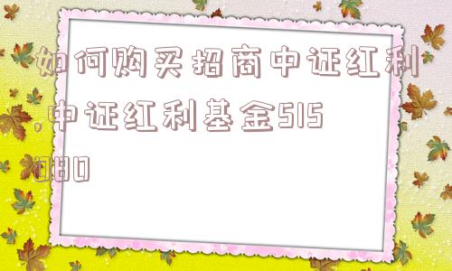 如何购买招商中证红利,中证红利基金515080  第1张