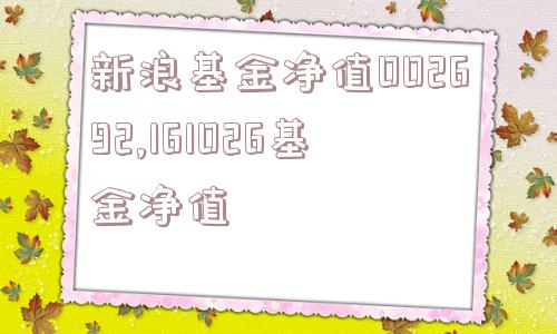 新浪基金净值002692,161026基金净值  第1张