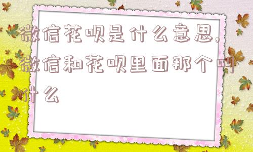 微信花呗是什么意思,微信和花呗里面那个叫什么  第1张