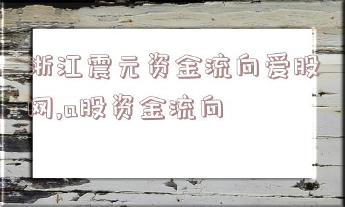 浙江震元资金流向爱股网,a股资金流向  第1张