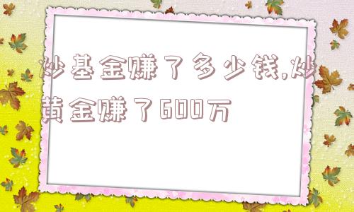 炒基金赚了多少钱,炒黄金赚了600万  第1张