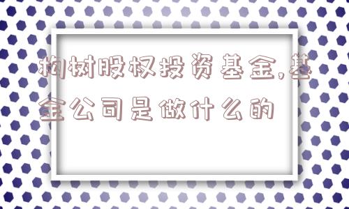 构树股权投资基金,基金公司是做什么的  第1张