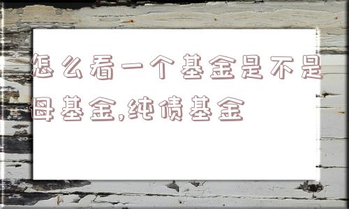 怎么看一个基金是不是母基金,纯债基金  第1张