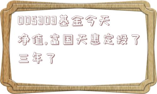 005303基金今天净值,富国天惠定投了三年了  第1张