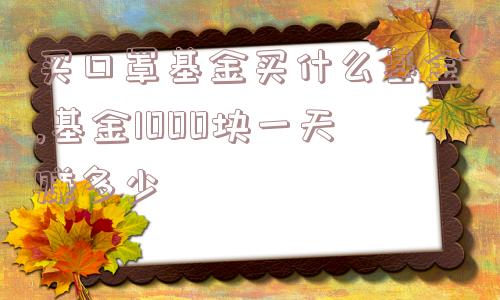 买口罩基金买什么基金,基金1000块一天赚多少  第1张